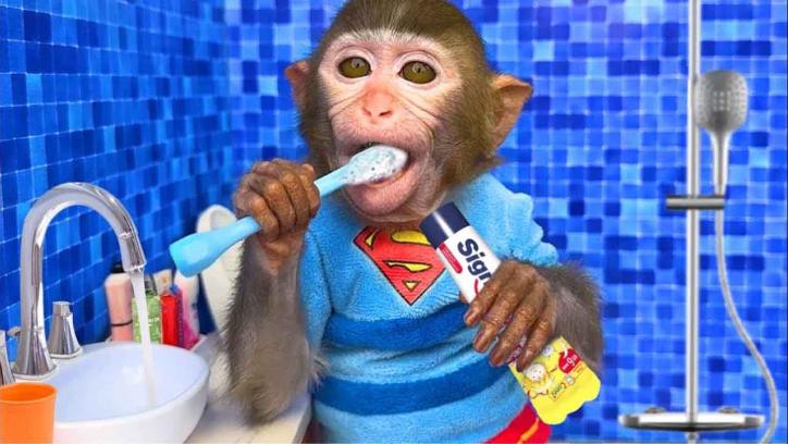 Baby Monkey’s Magical Garden Adventure with Color Surprise Eggs | Learn Colors & Animals!