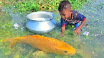 The Boy and the Giant Golden Fish - A Magical Pond Adventure