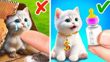 Kitten Plays With Rainbow Pop-It and Magical Mushroom Surprise