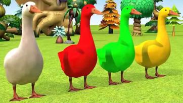 Funny Ducks Learn Colors - Red, Green, Yellow and White Color Song for Kids