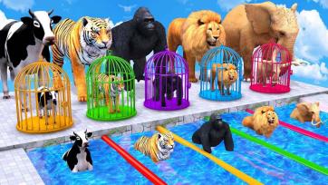 Magic Zoo Adventure - Lion, Elephant and Colorful Animal Friends