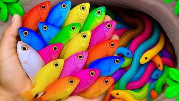 Rainbow Fish Adventure in the Magic Aquarium