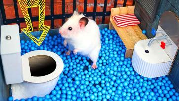 Fluffy Hamster’s Magical Day in the Rainbow Ball Pit